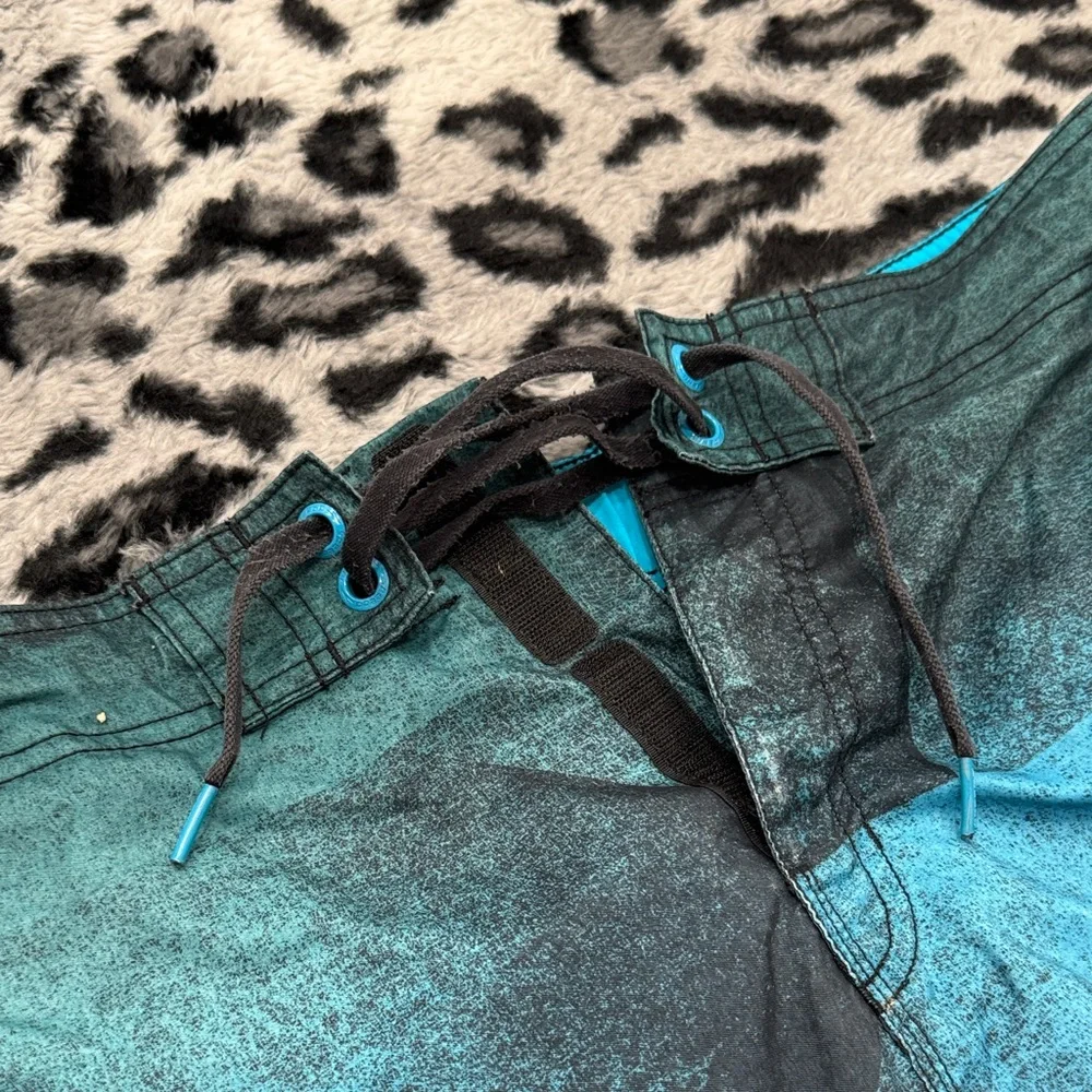 Speedo Blue and Green Swim Trunks